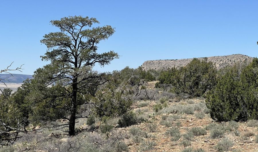 295 Old Deputy Shortline, Ash Fork, AZ 86320 - 0 Beds, 0 Bath