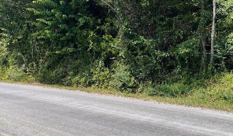 1 5 AC Lily Dale Rd, Allons, TN 38541 - 0 Beds, 0 Bath
