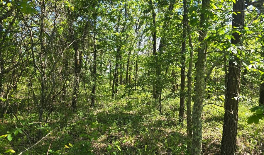TRACT 40 TRAIL RIDGE ROAD, Albion, OK 74571 - 0 Beds, 0 Bath