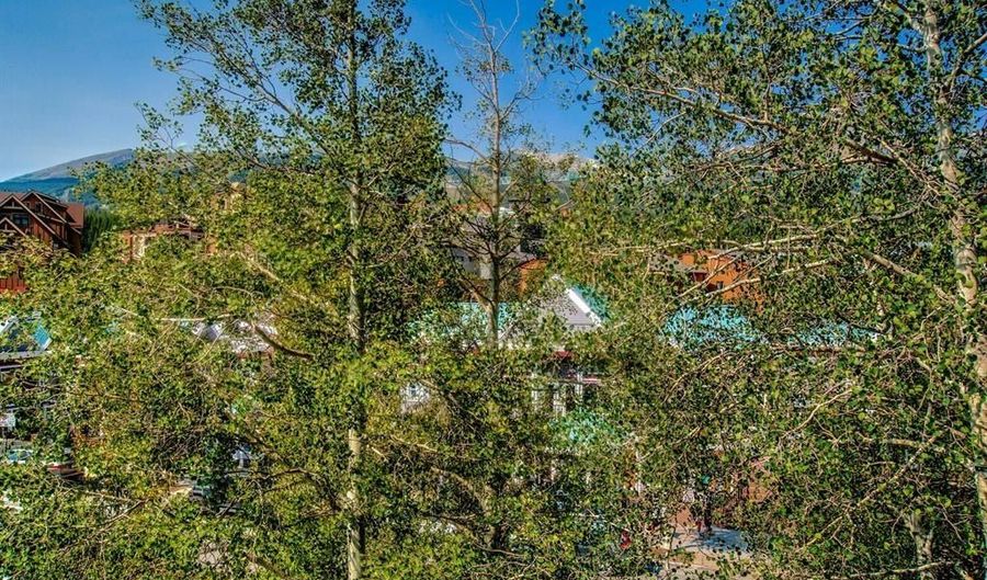 412 S MAIN St 321, Breckenridge, CO 80424 - 2 Beds, 1 Bath