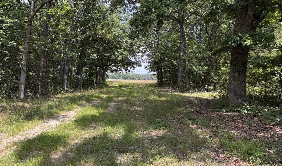 01 CR 1044, Auxvasse, MO 63367 - 0 Beds, 0 Bath