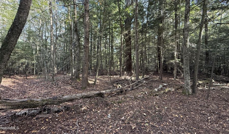 Lot6B Hopkins Ln, Becket, MA 01223 - 0 Beds, 0 Bath