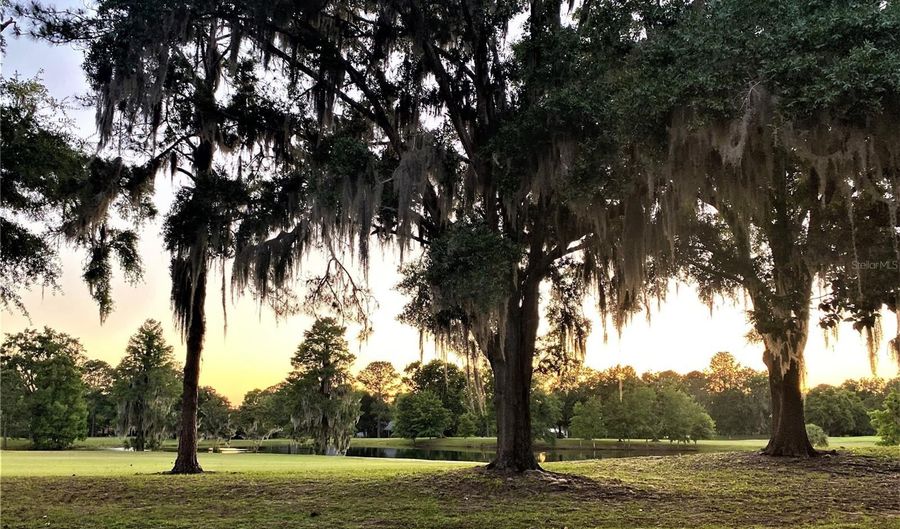 7203 NW 121 Ave, Alachua, FL 32615 - 4 Beds, 2 Bath