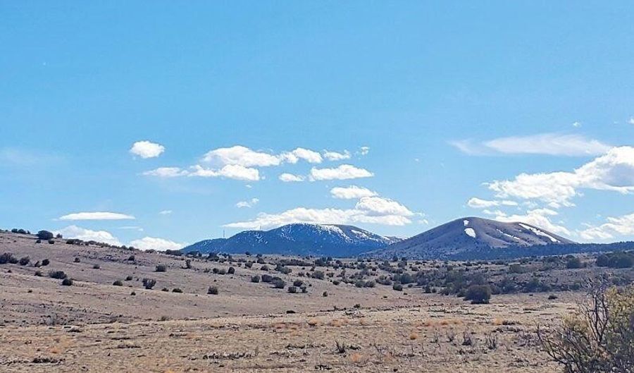 71 COUNTY ROAD N3448 Rd, Concho, AZ 85924 - 0 Beds, 0 Bath