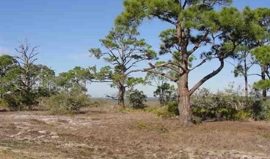 119 Hidden Harbor Dr I, Alligator Point, FL 32346 - 0 Beds, 0 Bath