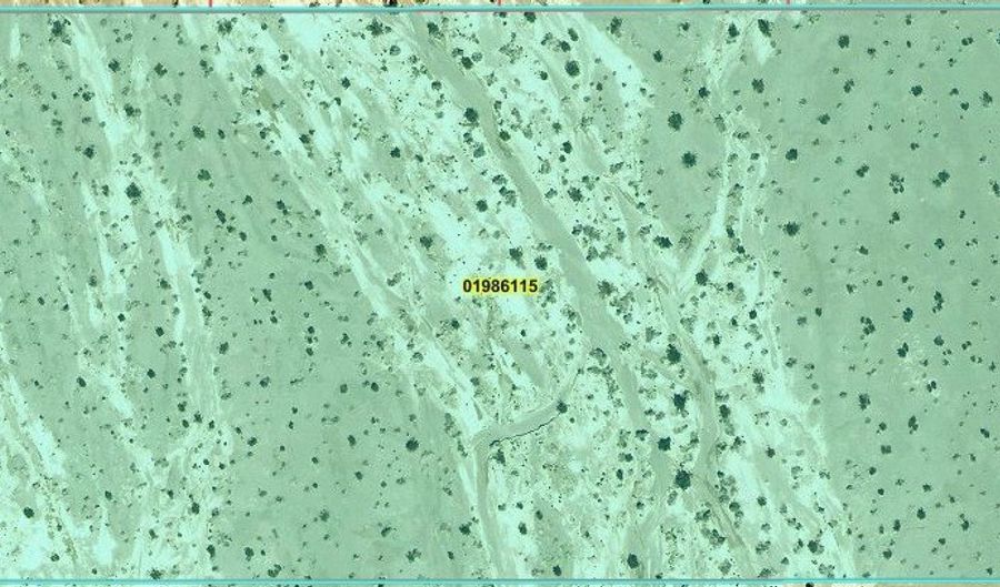 2902 N Falcon Rd, Amargosa Valley, NV 89020 - 0 Beds, 0 Bath