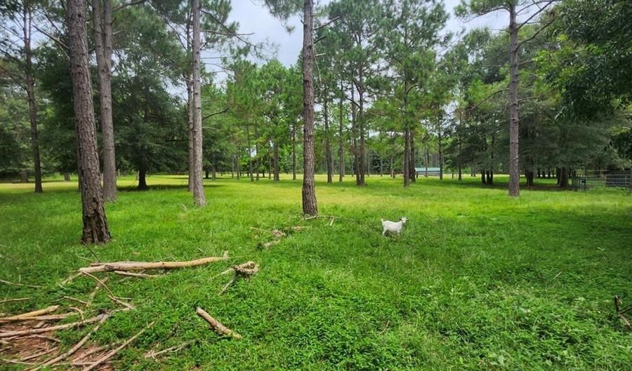786 Blackberry Rd, Baconton, GA 31716 - 3 Beds, 2 Bath