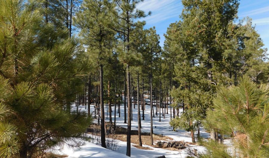 Lot 29 Eric Lane, Alpine, AZ 85920 - 0 Beds, 0 Bath
