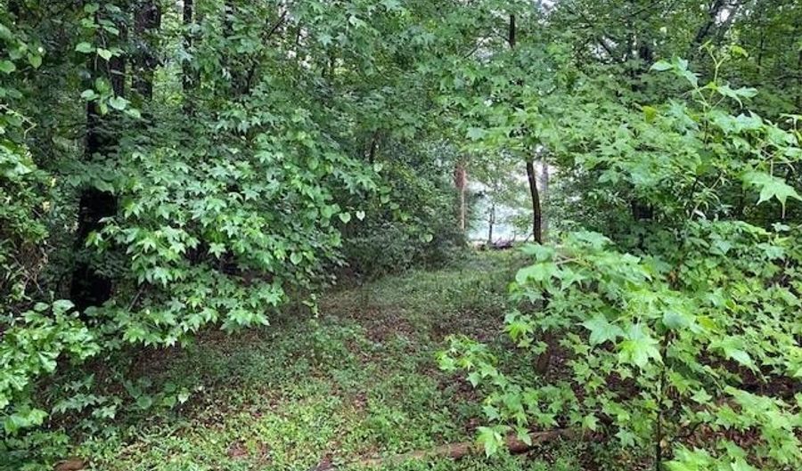 732 Lakeshore Dr, Bennettsville, SC 29512 - 0 Beds, 0 Bath
