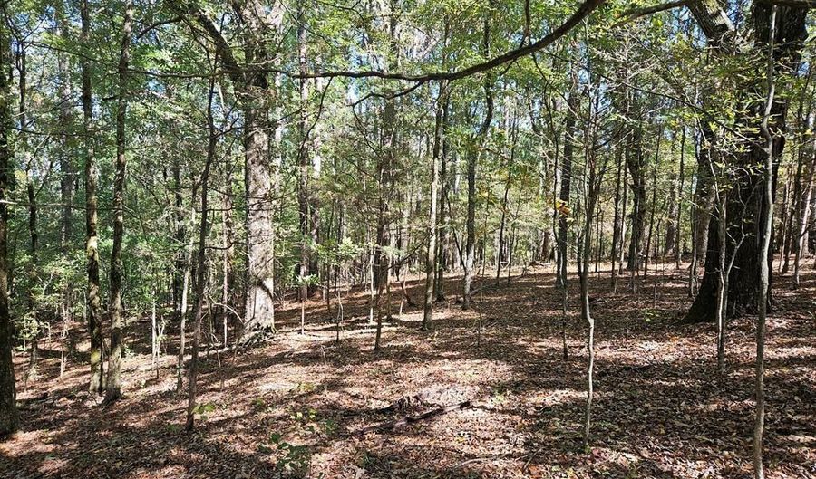 Ales Rd, Batesville, MS 38606 - 0 Beds, 0 Bath