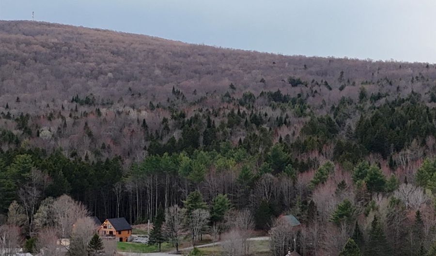 Pleasant Street, Brighton, VT 05846 - 0 Beds, 0 Bath