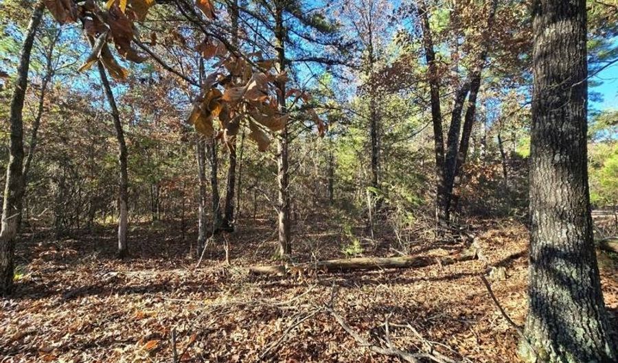 2 TBD Henderson Mill Rd, Bates, AR 72958 - 0 Beds, 0 Bath
