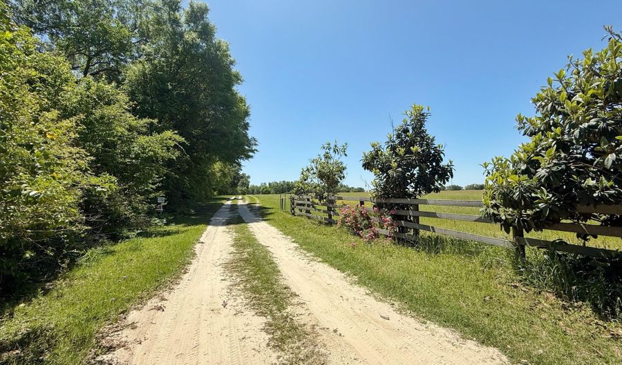 6491 Wolf Pond Rd, Bascom, FL 32423 - 1 Beds, 1 Bath