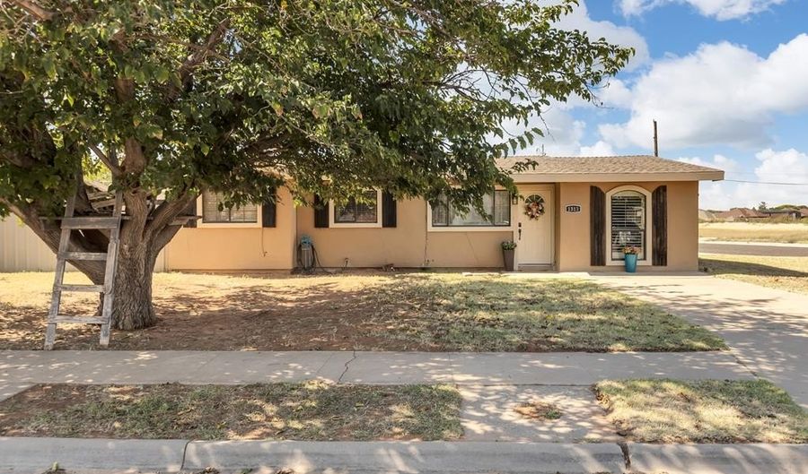 1313 Doran St, Andrews, TX 79714 - 4 Beds, 2 Bath