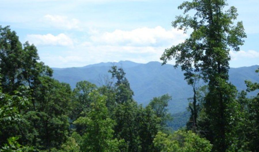 Fontana Trace Drive lot 59, Almond, NC 28702 - 0 Beds, 0 Bath