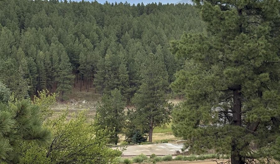 San Mateo Drive lot 1292, Angel Fire, NM 87710 - 0 Beds, 0 Bath
