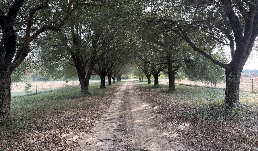 13962 State Highway 95 N, Abbeville, AL 36310 - 0 Beds, 0 Bath