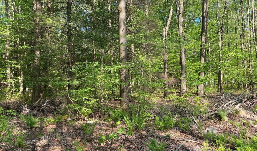 99 ACRE ROCK Ldg, Accident, MD 21520 - 0 Beds, 0 Bath
