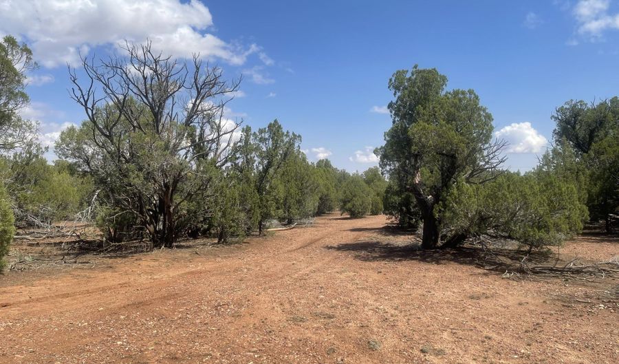 4934 Elk Trail Rd, Clay Springs, AZ 85923 - 0 Beds, 0 Bath