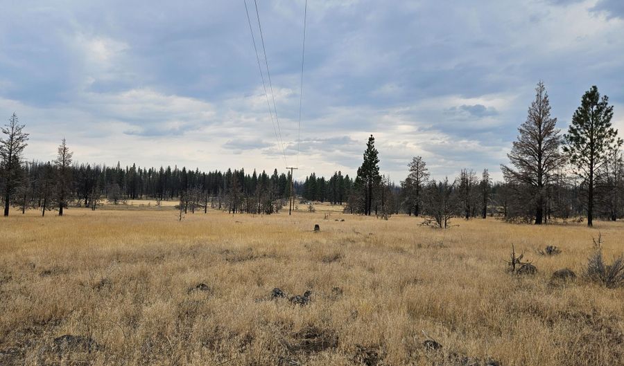 Parazoo Trail Lot 15, Bly, OR 97622 - 0 Beds, 0 Bath