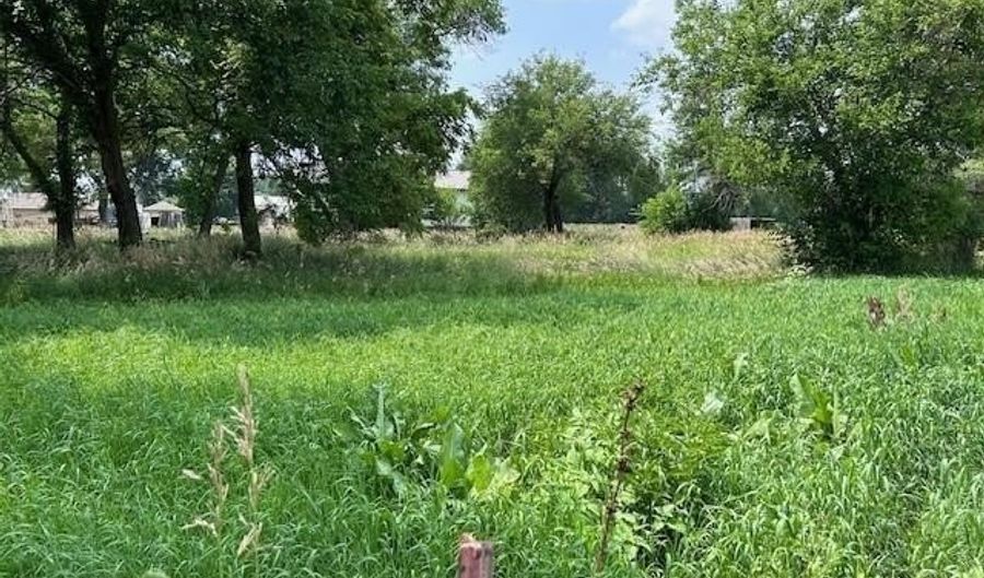 Lot 1-5 N 2nd St, Battle Creek, NE 68715 - 0 Beds, 0 Bath
