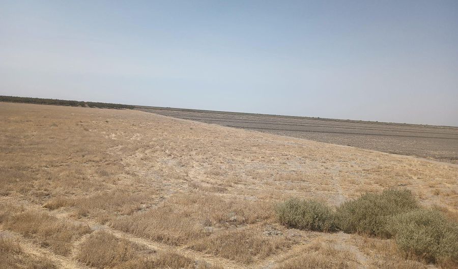 Ave 56, Alpaugh, CA 93201 - 0 Beds, 0 Bath