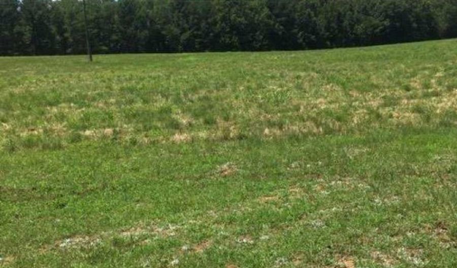 Murdock Road, Belton, SC 29627 - 0 Beds, 0 Bath