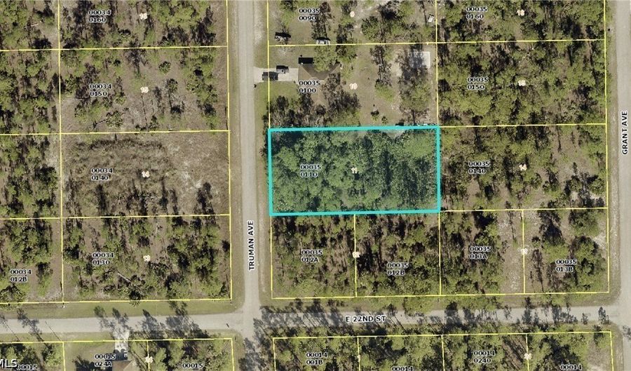 2202 Truman Ave, Alva, FL 33920 - 0 Beds, 0 Bath
