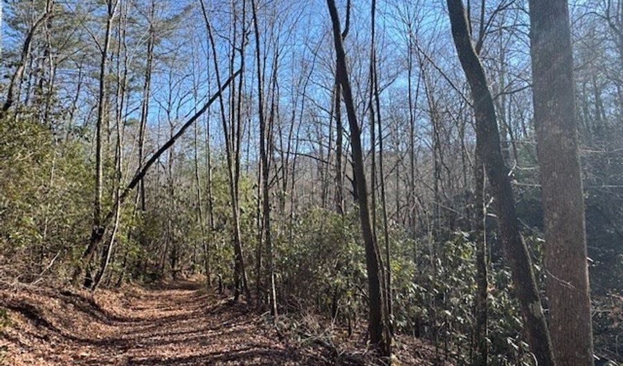 1834 Bristol Ave, Andrews, NC 28901 - 0 Beds, 0 Bath