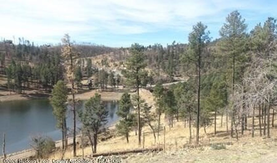 212 Lake Shore Dr 1, Alto, NM 88312 - 0 Beds, 0 Bath