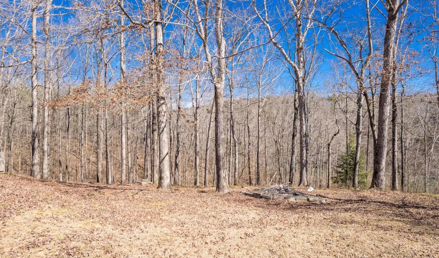 1460 COUNTY ROAD 3782, Arley, AL 35541 - 3 Beds, 2 Bath