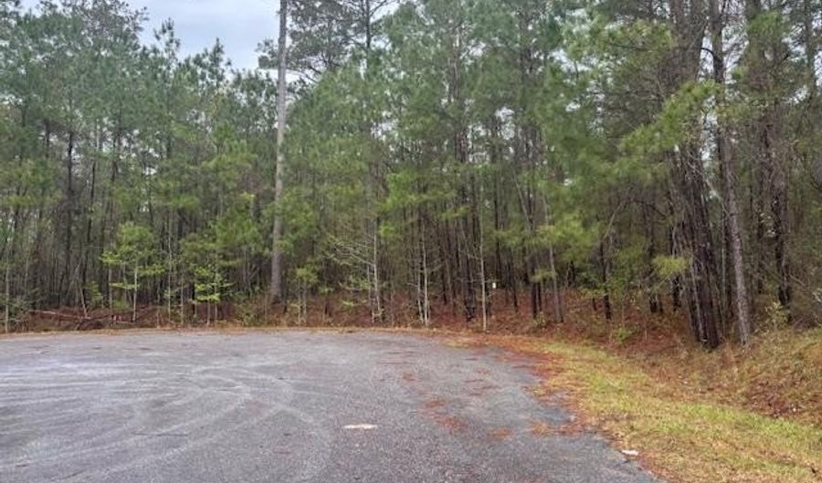 Lot 2 Jacquelyn Court, Bainbridge, GA 39819 - 0 Beds, 0 Bath