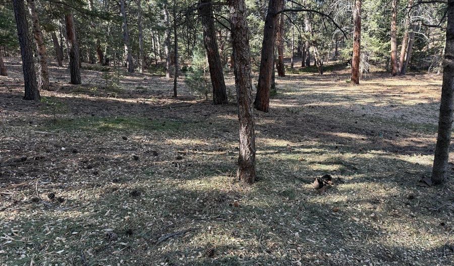 505 Lakeshore Dr, Boulder, CO 80302 - 0 Beds, 0 Bath