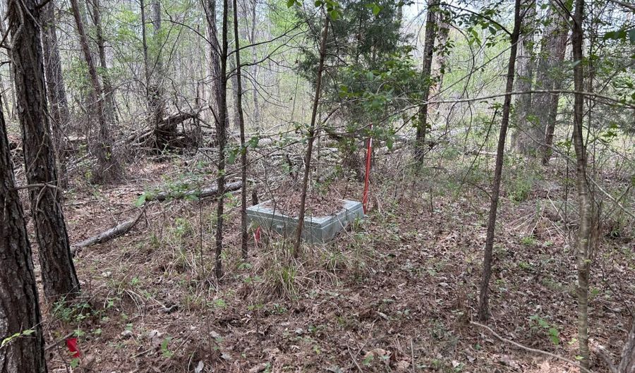 RON THAMES Rd, Arley, AL 35541 - 0 Beds, 0 Bath