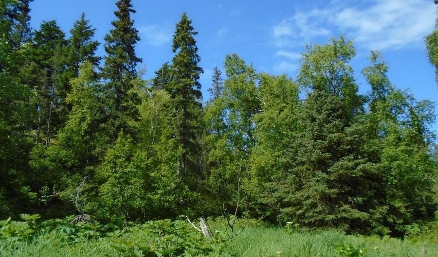 L4 Stone Ridge Road, Anchorage, AK 99516 - 0 Beds, 0 Bath