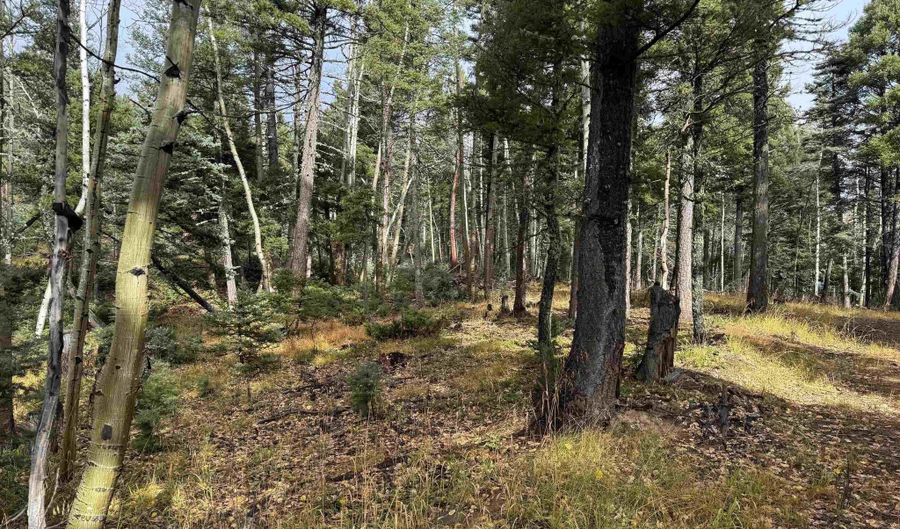 Vermejo Cir lot 15, Angel Fire, NM 87710 - 0 Beds, 0 Bath