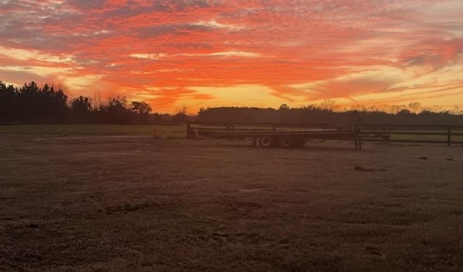 1243 Silcox Rd, Ashford, AL 36312 - 4 Beds, 4 Bath