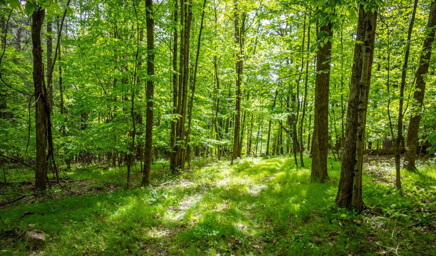 198-1 Beebe Hill Rd, Canaan, CT 06031 - 0 Beds, 0 Bath