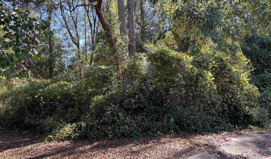 Berman St lot 11 1/2 & 12, Andalusia, AL 36421 - 0 Beds, 0 Bath