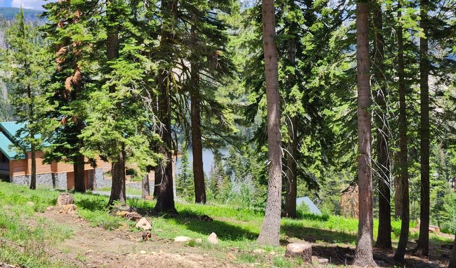332 Snowshoe Rd, Bear Valley, CA 95223 - 0 Beds, 0 Bath