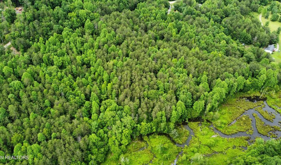 Steve Brown Road, Bean Station, TN 37708 - 0 Beds, 0 Bath