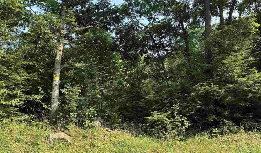 Woolen Mills Road lot B, Albright, WV 26519 - 0 Beds, 0 Bath