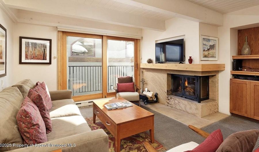 901 E Hyman Ave 13, Aspen, CO 81611 - 2 Beds, 2 Bath