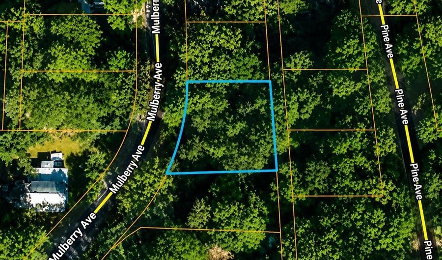 MULBERRY AVENUE, Anniston, AL 36201 - 0 Beds, 0 Bath