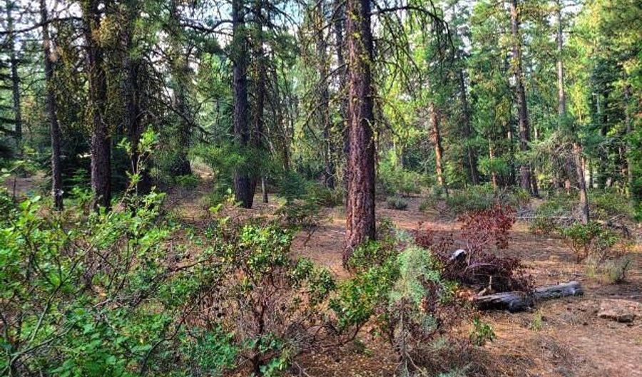 Yak Lane, Bonanza, OR 97623 - 0 Beds, 0 Bath