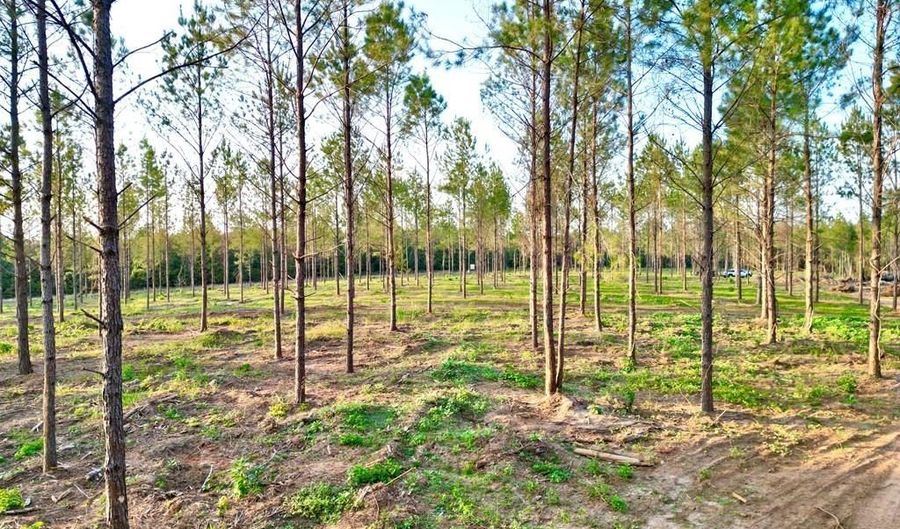 3 AL SR 223, Banks, AL 36005 - 0 Beds, 0 Bath