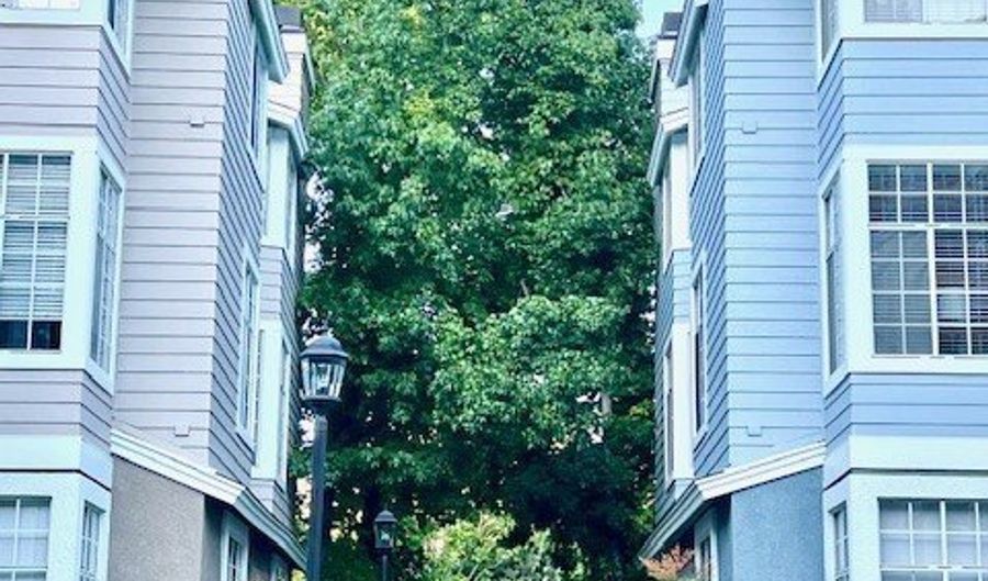 23412 Pacific Park, Aliso Viejo, CA 92656 - 1 Beds, 1 Bath