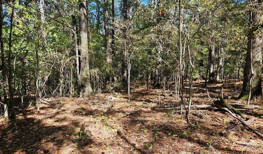 Ales Rd, Batesville, MS 38606 - 0 Beds, 0 Bath