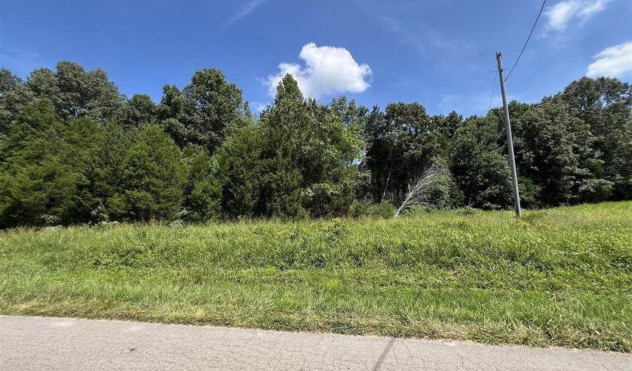 3688 E New Roe Rd, Adolphus, KY 42120 - 0 Beds, 0 Bath