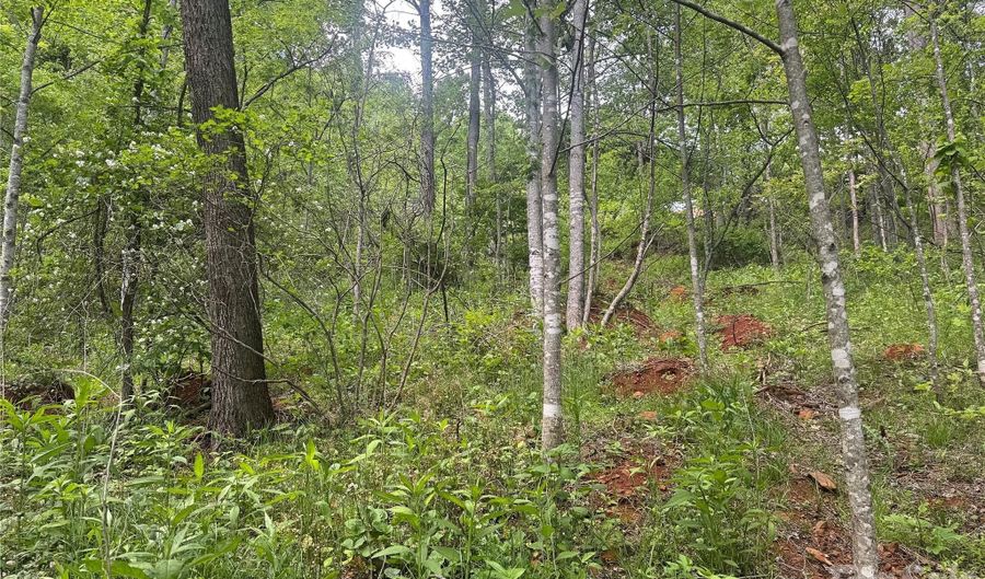 V/L Wolf Crossing, Bakersville, NC 28705 - 0 Beds, 0 Bath